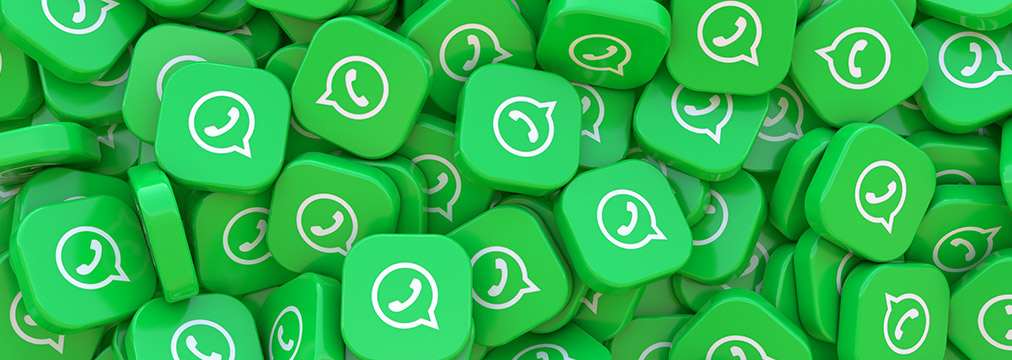  WhatsApp em massa